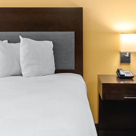 Hotel Aura Sfo Airport Free Shuttle San Bruno Eksteriør billede