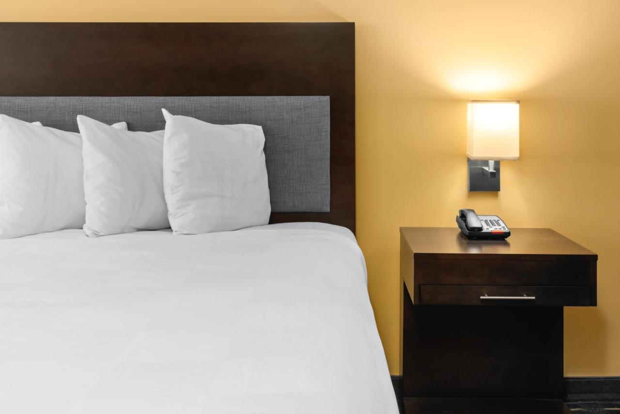 Hotel Aura Sfo Airport Free Shuttle San Bruno Eksteriør billede